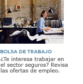 Bolsa de trabajo